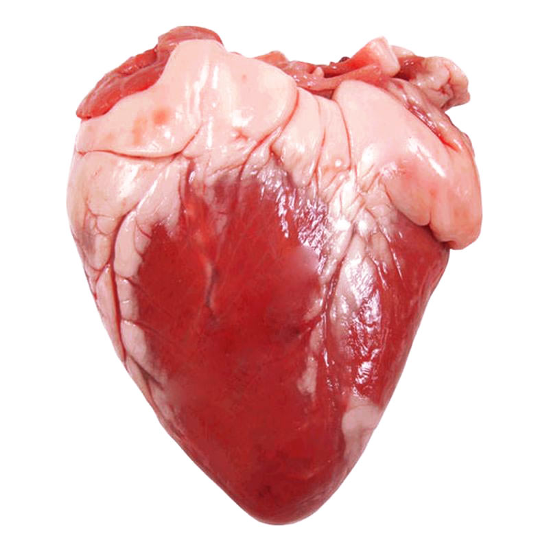 картинка Сердце говяжье оптом