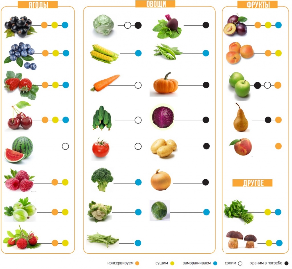 Виды овощей и фруктов