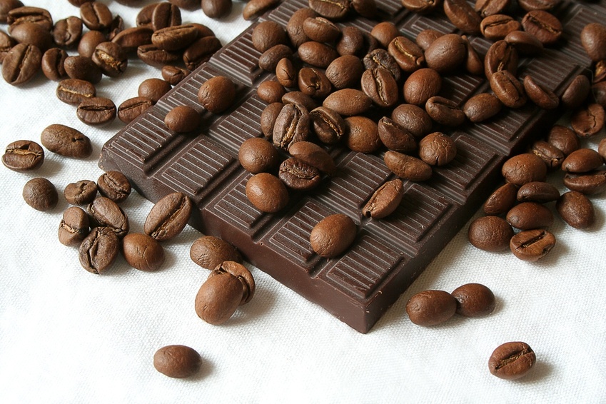 шоколад оптом